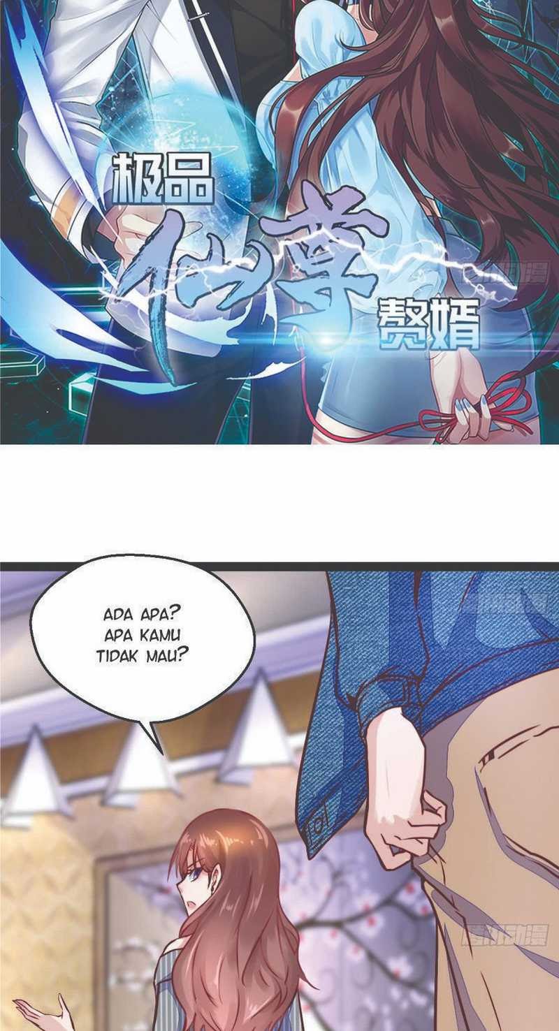 Rebirth Into the Strongest Immortal Cultivator chapter 17
